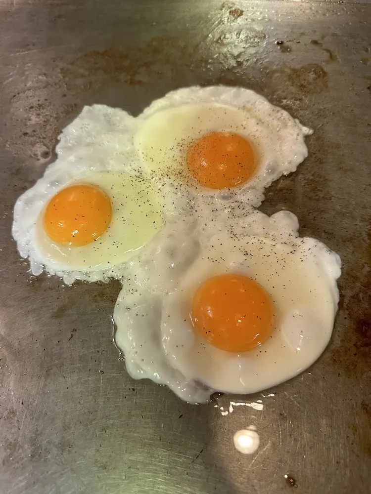 Egg